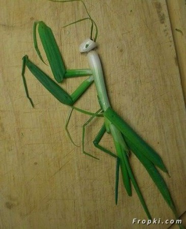 αλογάκι της παναγίτσας